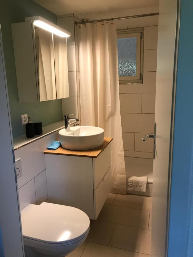 Studio Beim Rhein - Ziegelhuette Flaach Экстерьер фото